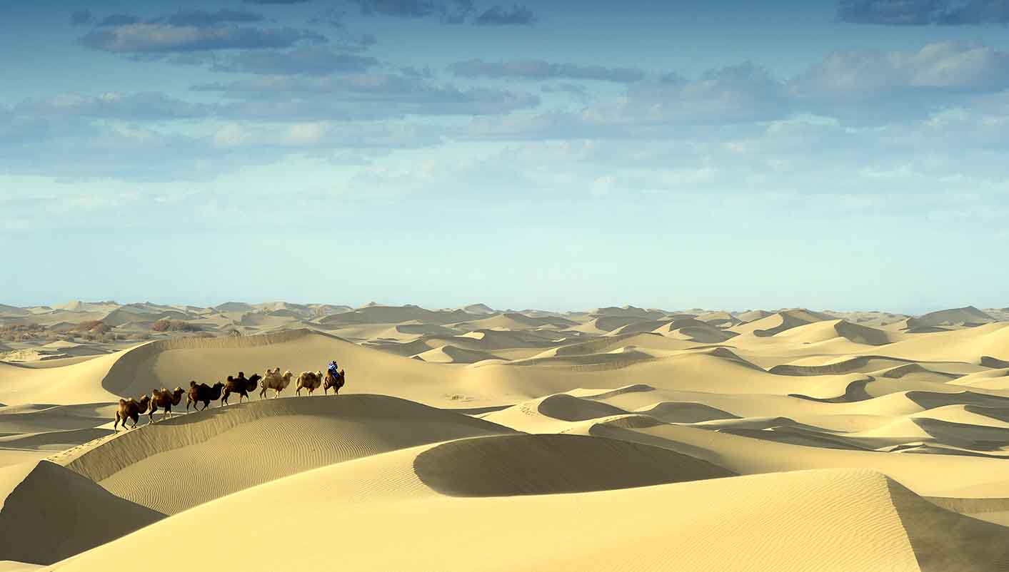 El Desierto de Gobi, conocido por la riqueza y la calidad de sus yacimientos de fósiles
